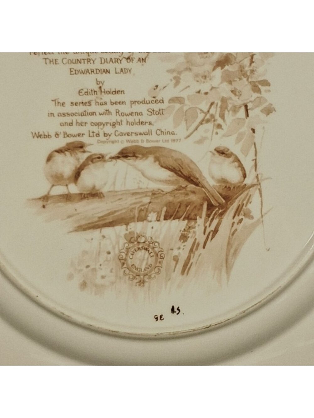 Caverswall Calendar Plates the Country Diary of An Edwardian Lady - Mushroom & - Picture 4 of 11